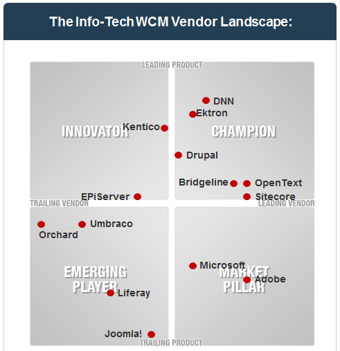 Info-Tech Vendor Landscape