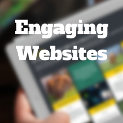 Webinar Q&A on Building Engaging Websites