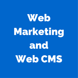 Talking Web Marketing and Web CMS: An Interview with Brett Cornell