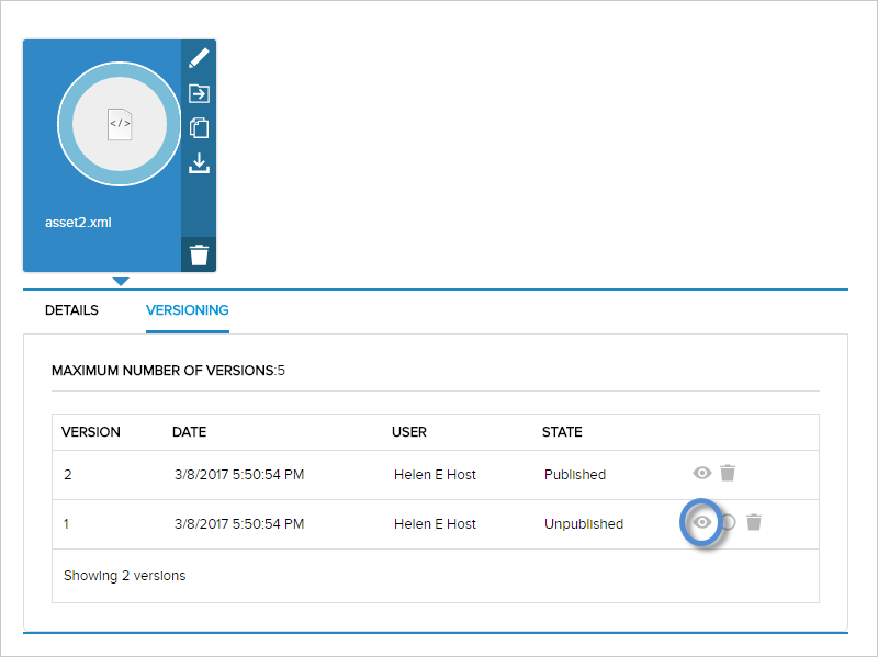 Asset > Edit > Versioning — Preview